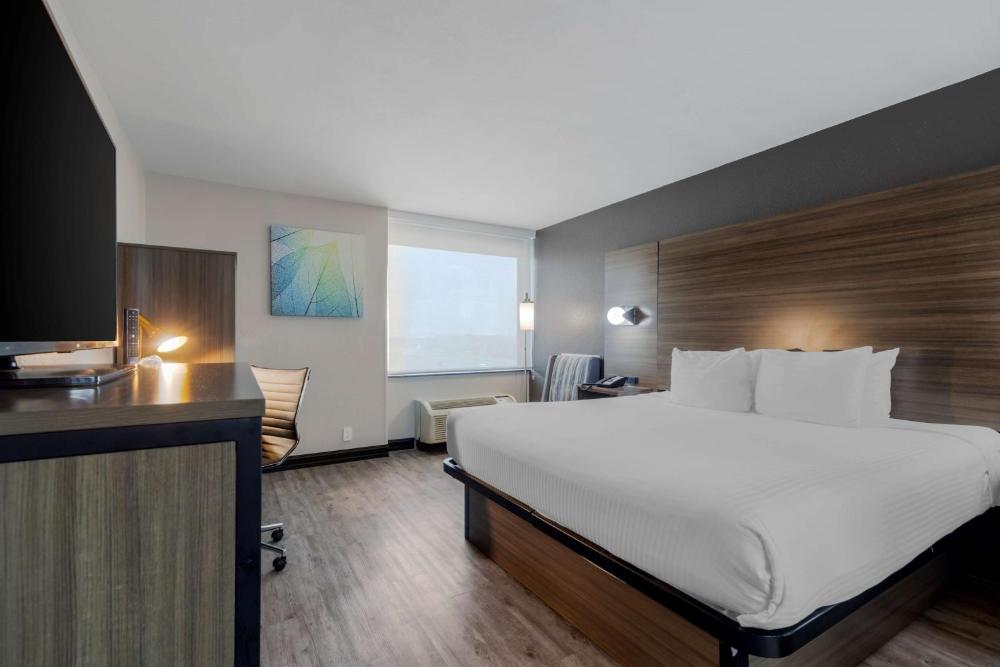 King Room - Atrium interior